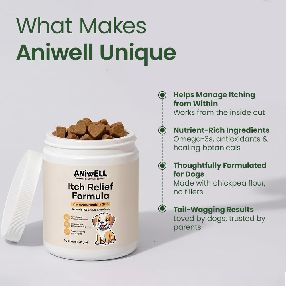 Aniwell perro disfrutando la chuche en casa mostrando aceptación