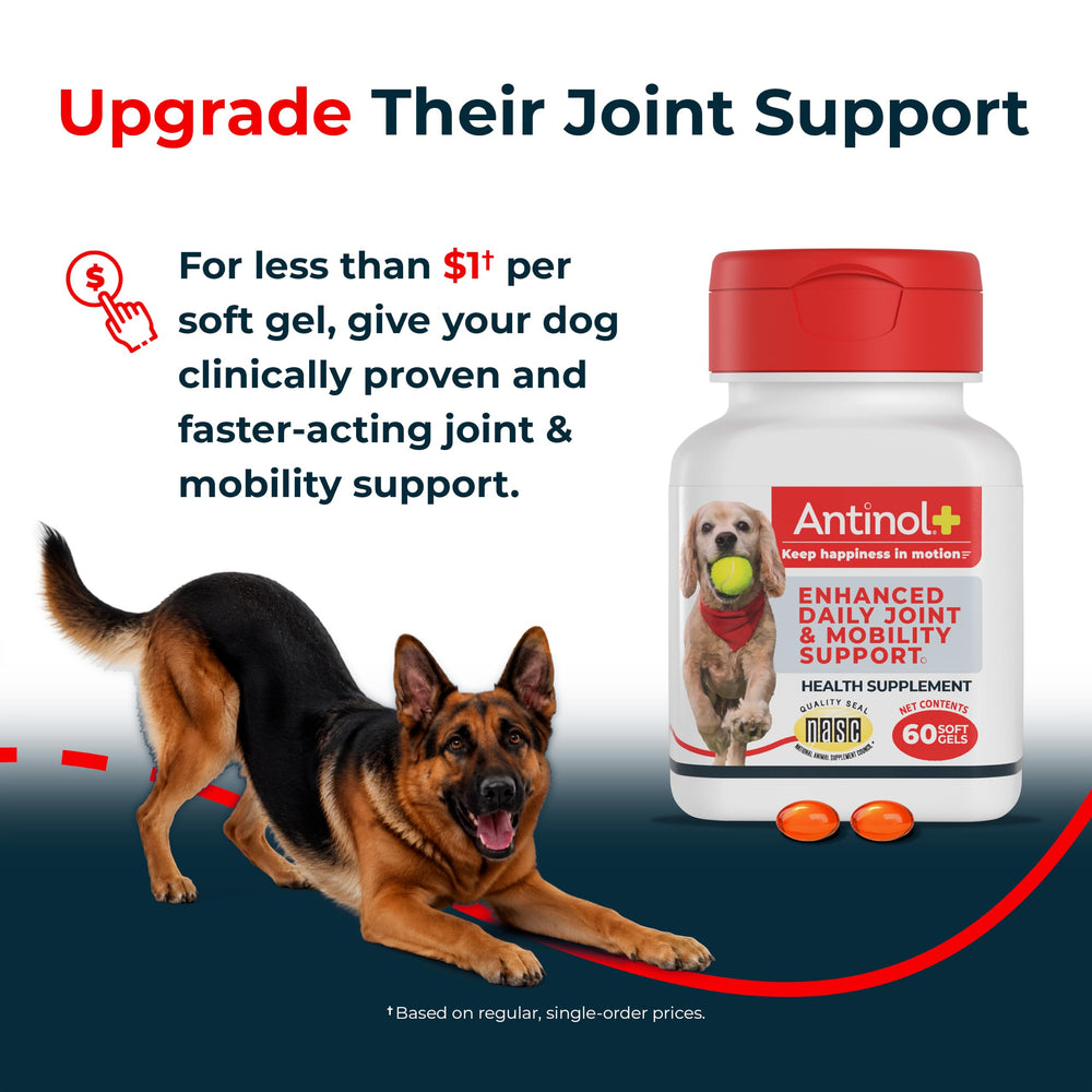 Antinol Plus etiqueta con ingredientes y sello de calidad NASC visible