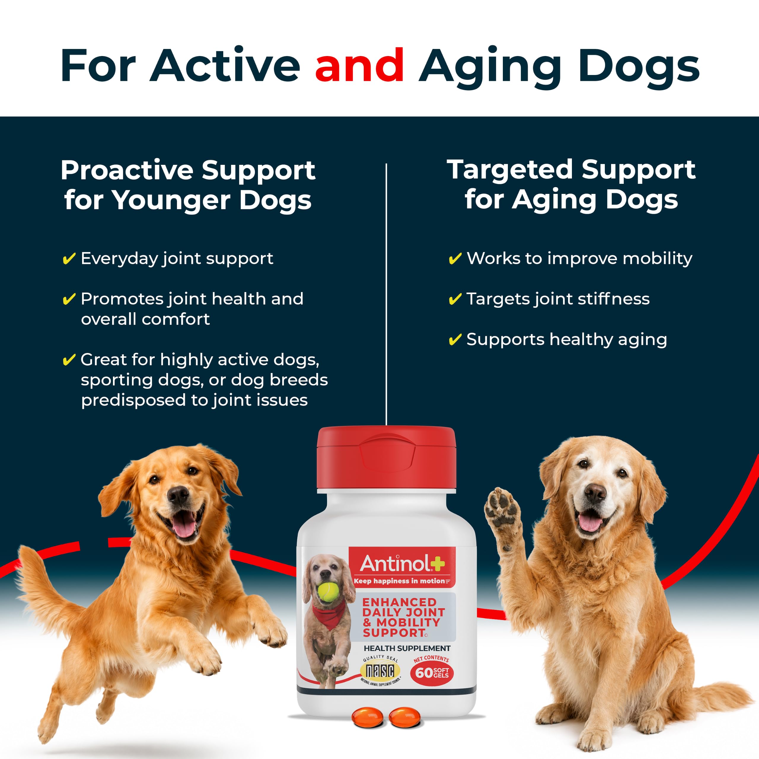 Antinol Plus textura aceitosa de la cápsula para mejor absorción