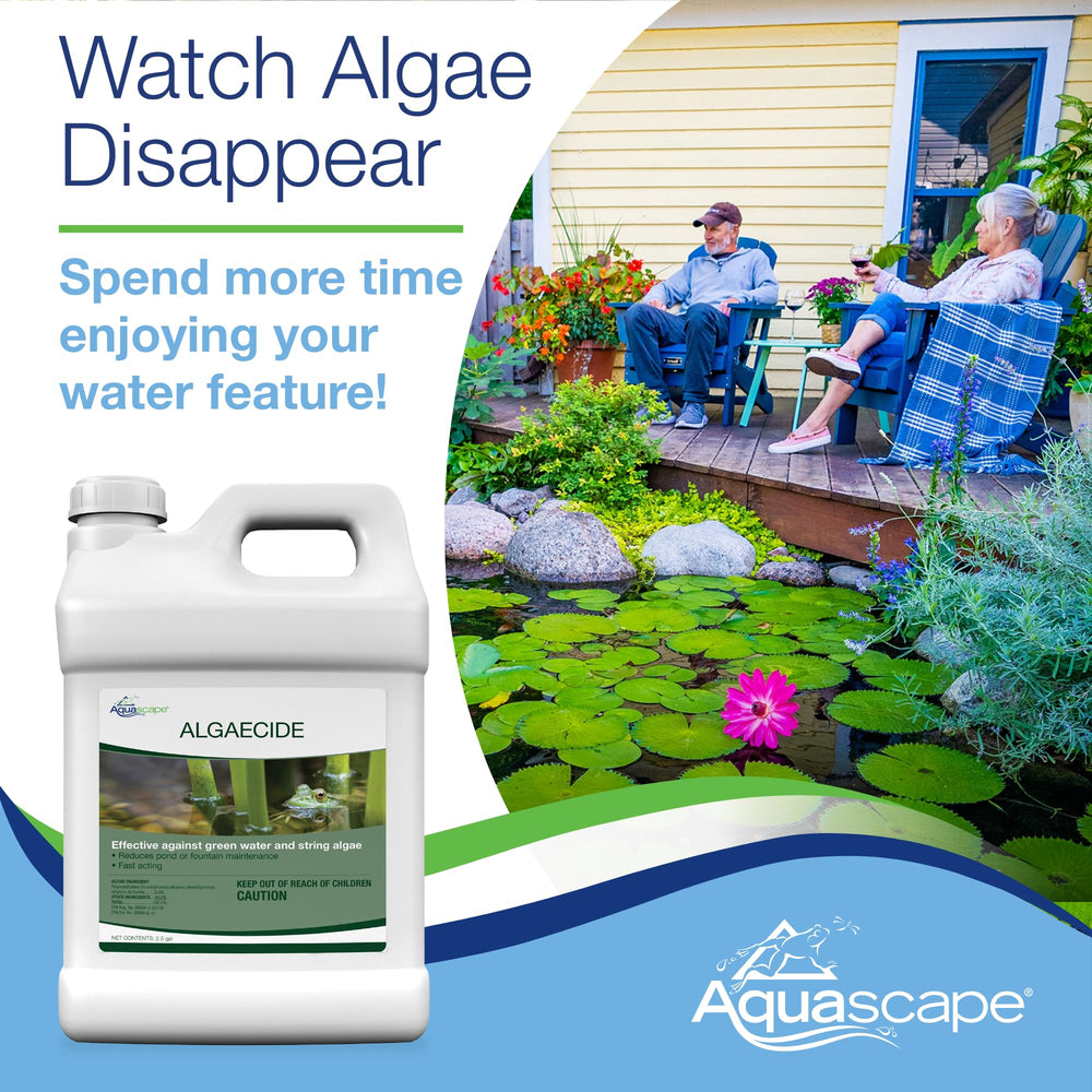 Aquascape imagen antes y después de estanque con menos algas