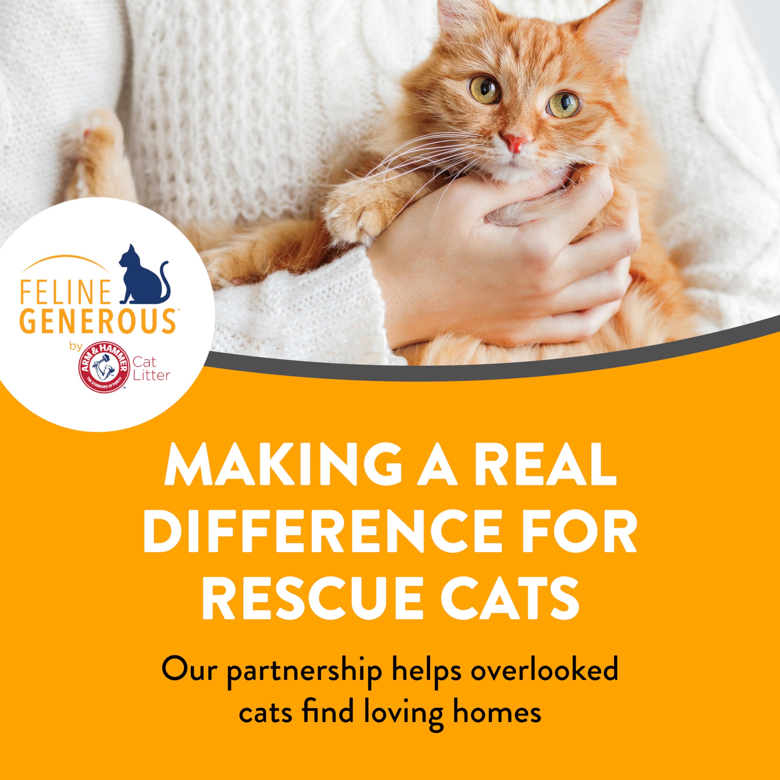Arm & Hammer varios gatos usando la caja, ideal para hogares con más animales