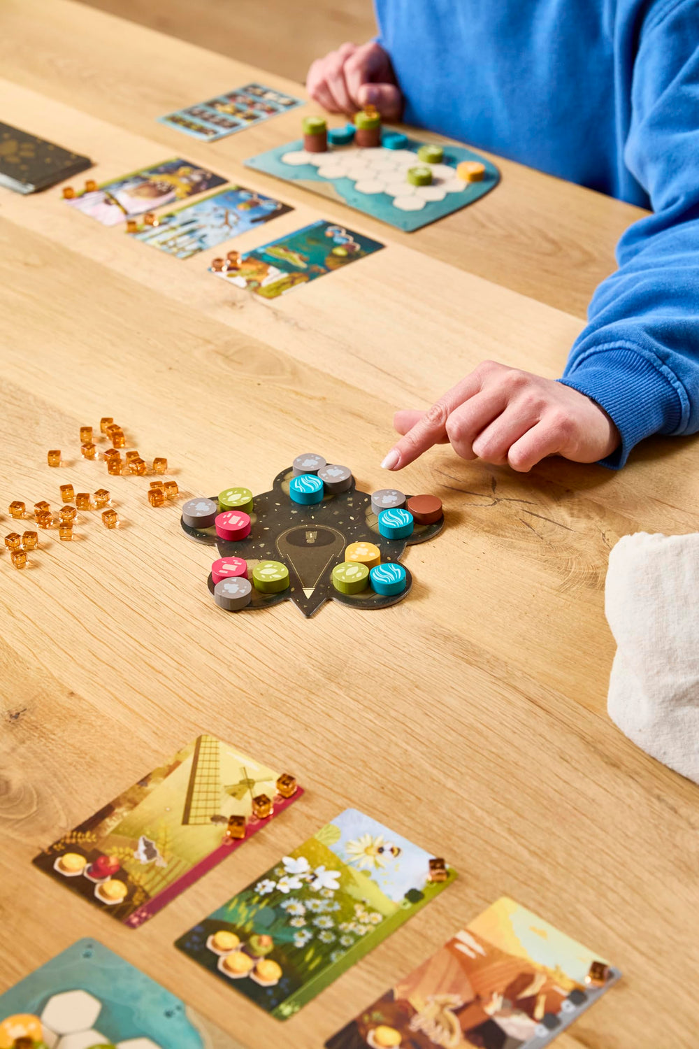 Asmodee comparación de tamaño de componentes de Harmonies para apreciar escala y almacenamiento