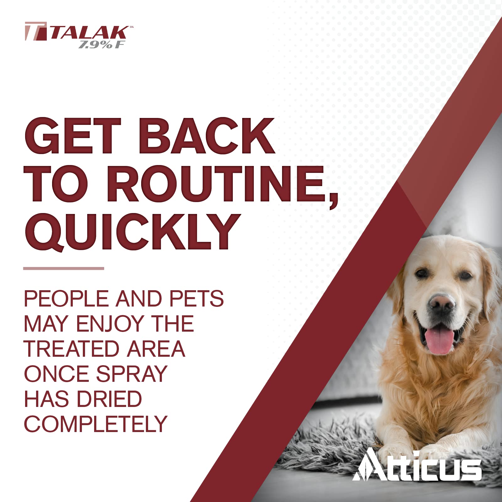 Atticus uso interior junto a rodapié para control de cucarachas y arañas