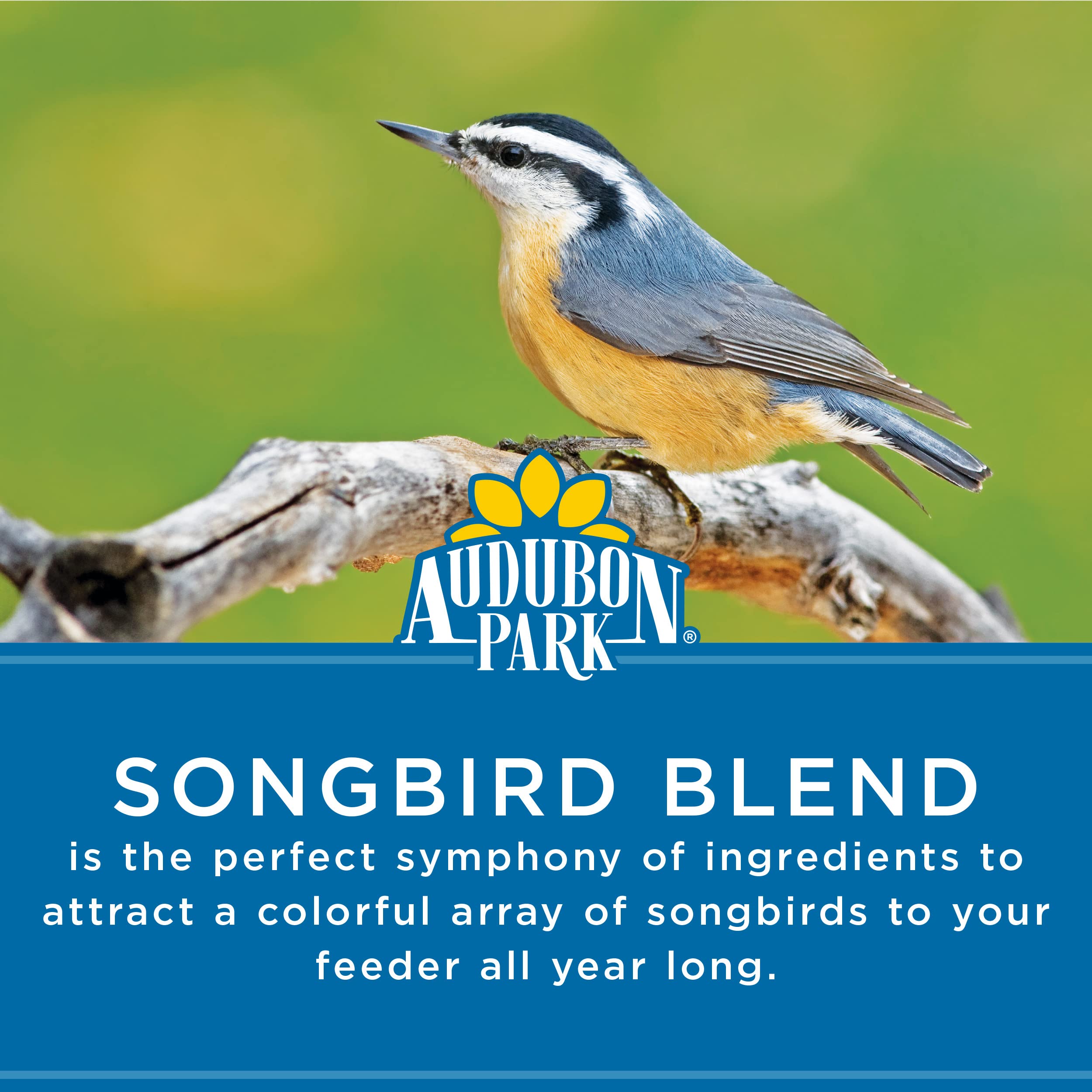 Audubon Park mezcla en primer plano con semillas y cacahuetes nutritivos
