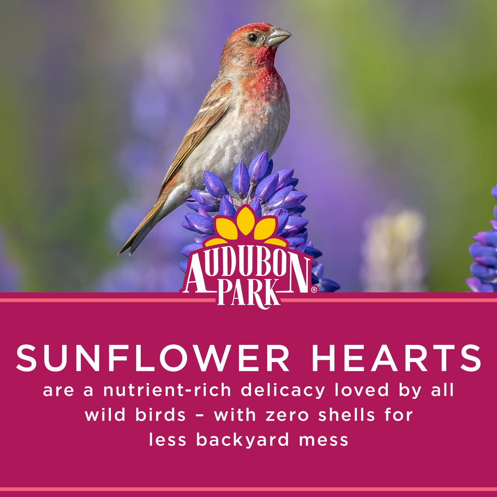 Audubon Park seeds in tube feeder showing easy feeding