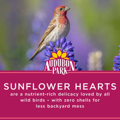Audubon Park seeds in tube feeder showing easy feeding