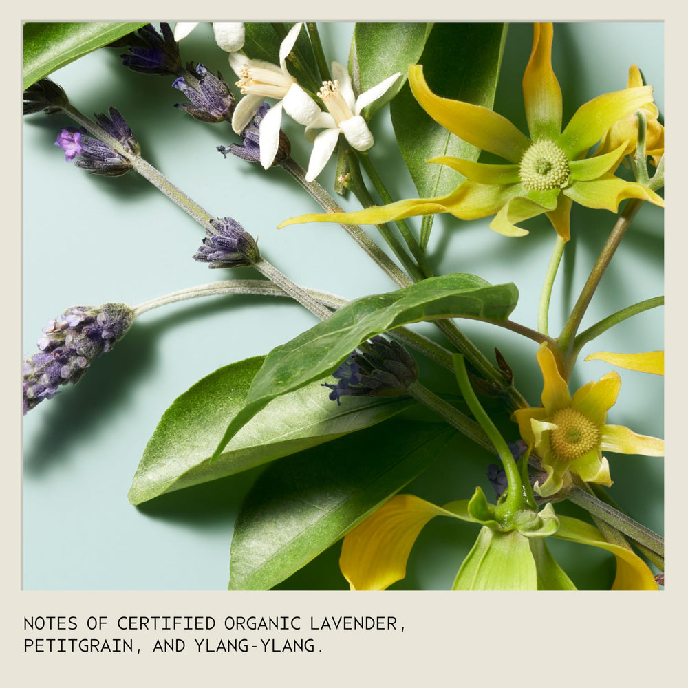 Aveda packaging con etiqueta legible y lista de ingredientes naturales