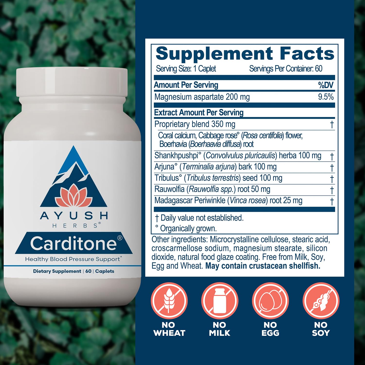 Ayush Herbs Carditone ingredientes Arjuna y hierbas, destacando aporte tradicional ayurvédico
