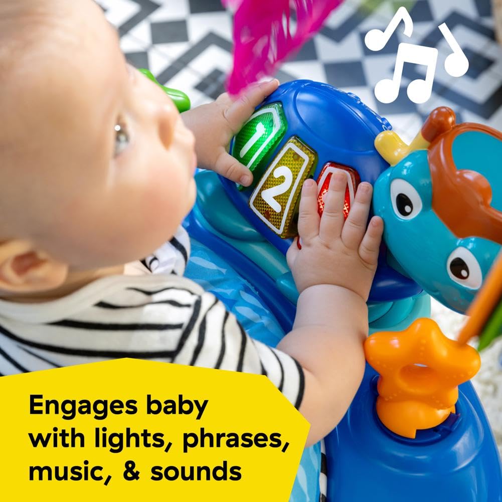 Tarjetas con imágenes reales del océano Baby Einstein para ampliar vocabulario