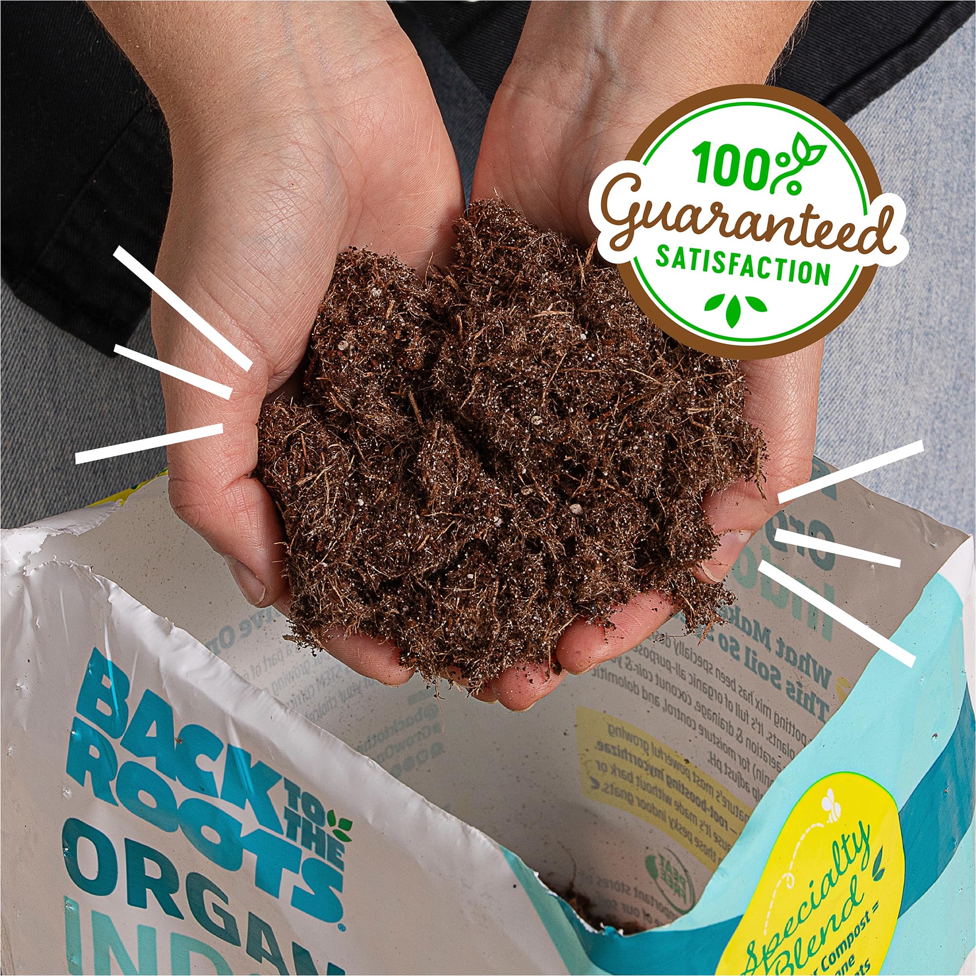 Back to the Roots en entorno interior con plantas saludables y aspecto limpio