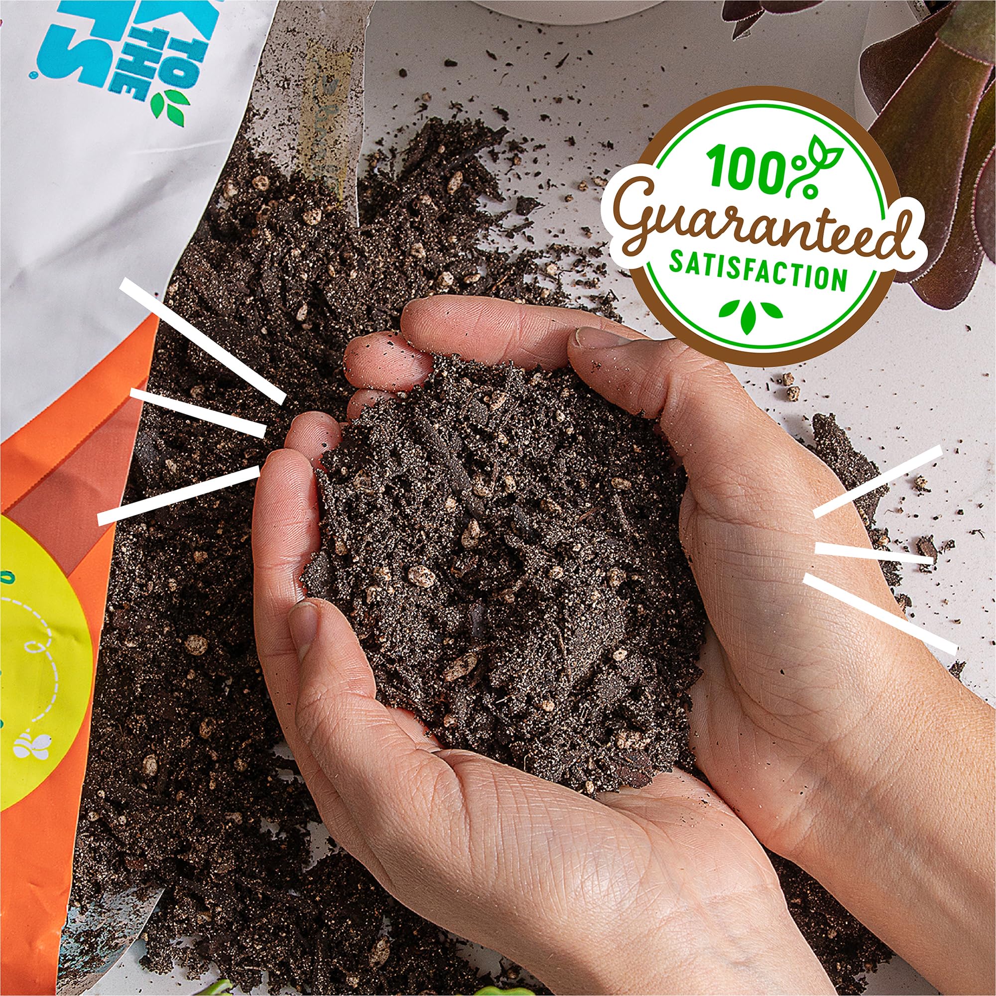 Back to the Roots etiqueta del producto con ingredientes orgánicos y beneficios