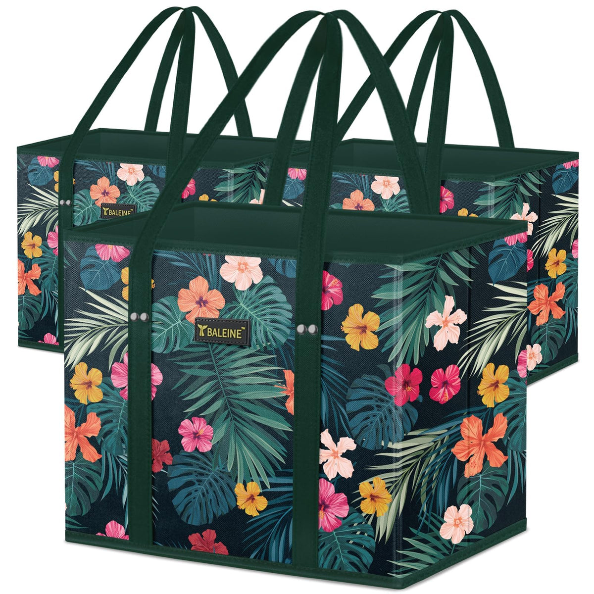 BALEINE vista frontal de la bolsa mostrando forma rígida y organización