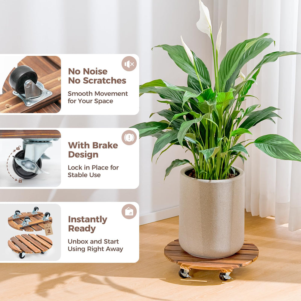 Plant caddy Bamworld con maceta en sala, movilidad que protege suelos y plantas
