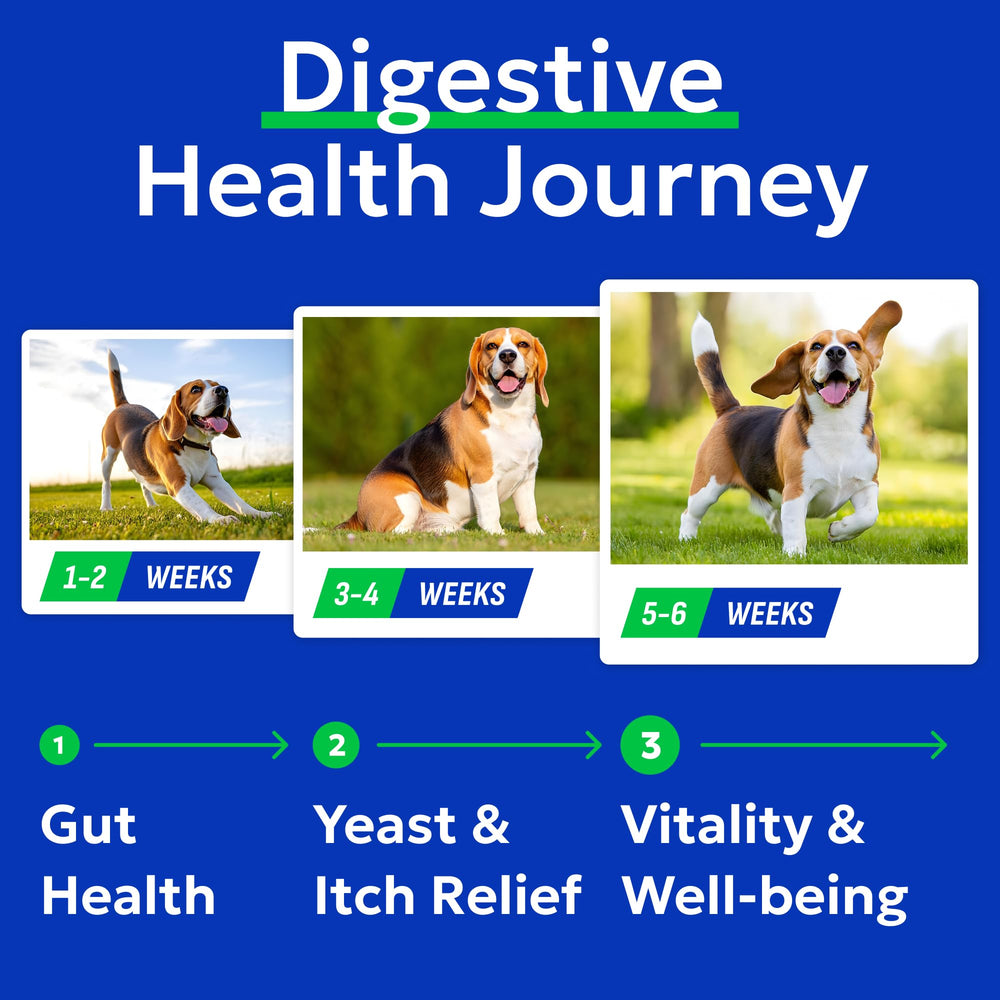 BARK&SPARK chews in dish ready to serve for easy daily use