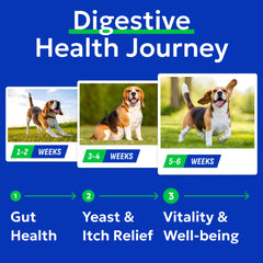 BARK&SPARK chews in dish ready to serve for easy daily use