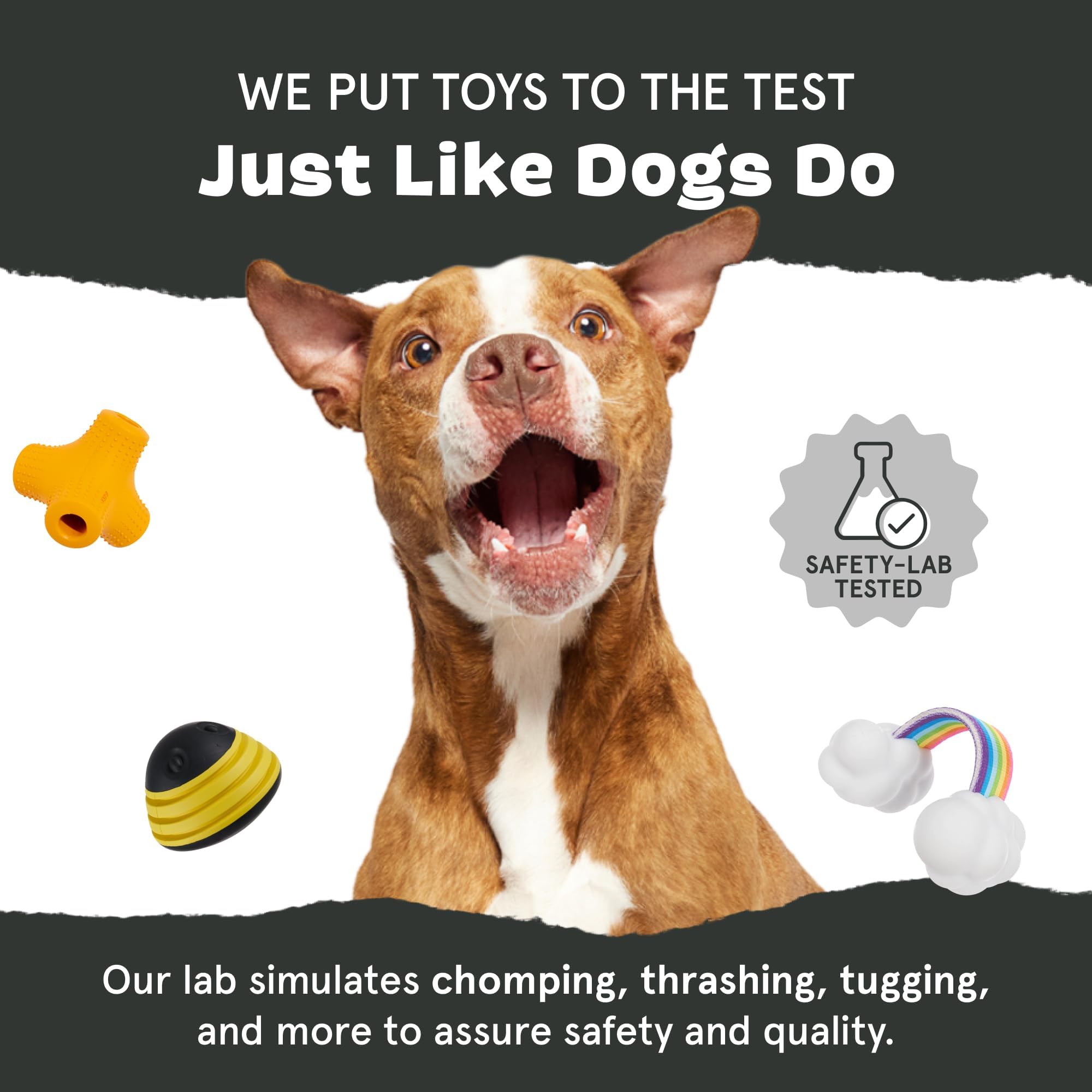 BarkBox etiqueta del producto con instrucciones y seguridad visible