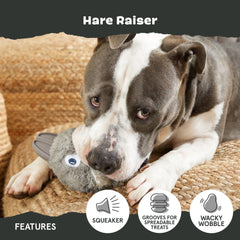 BarkBox ranura para premios con untables para mayor juego y recompensa
