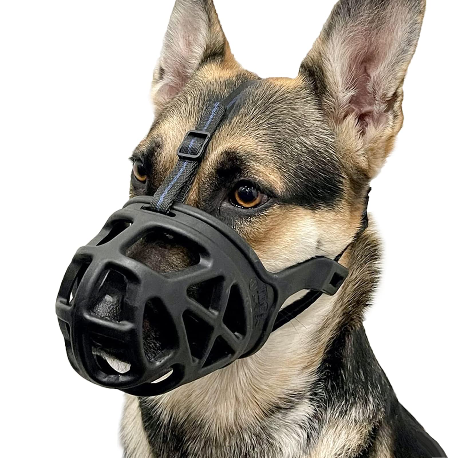 BARKLESS bozal canasta frontal mostrando protección y ventilación