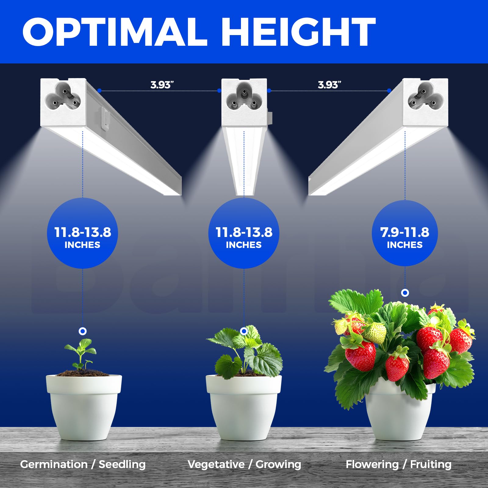 Barrina T5 lights mounted on a multi-tier shelf improving plant coverage