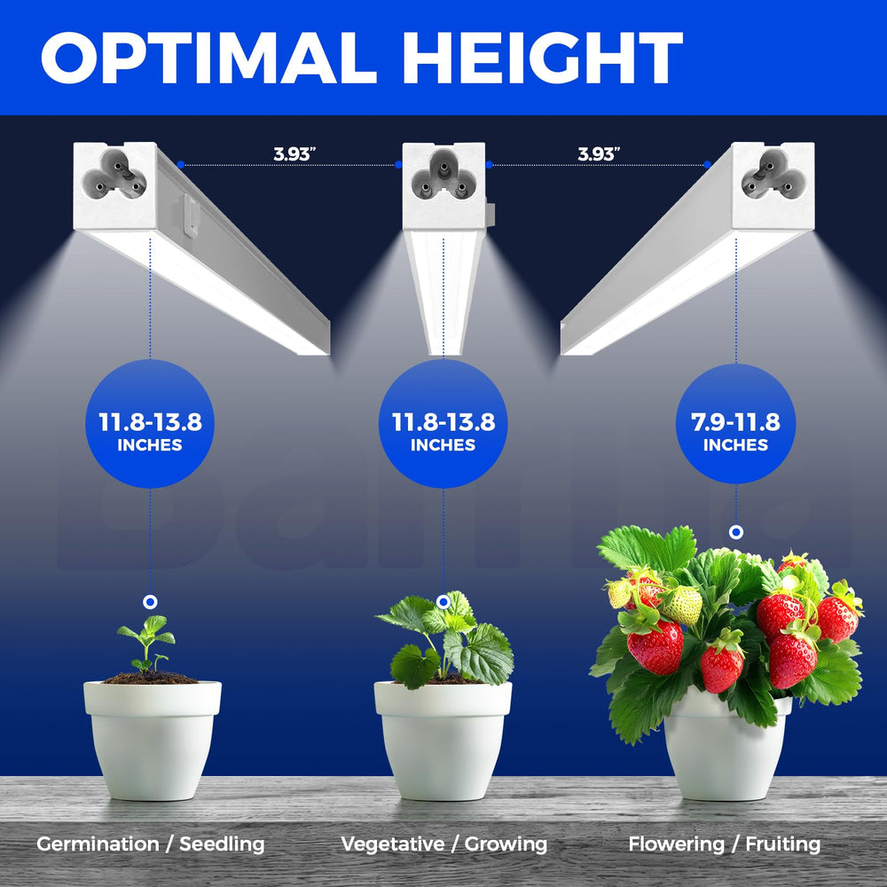 Barrina T5 lights mounted on a multi-tier shelf improving plant coverage