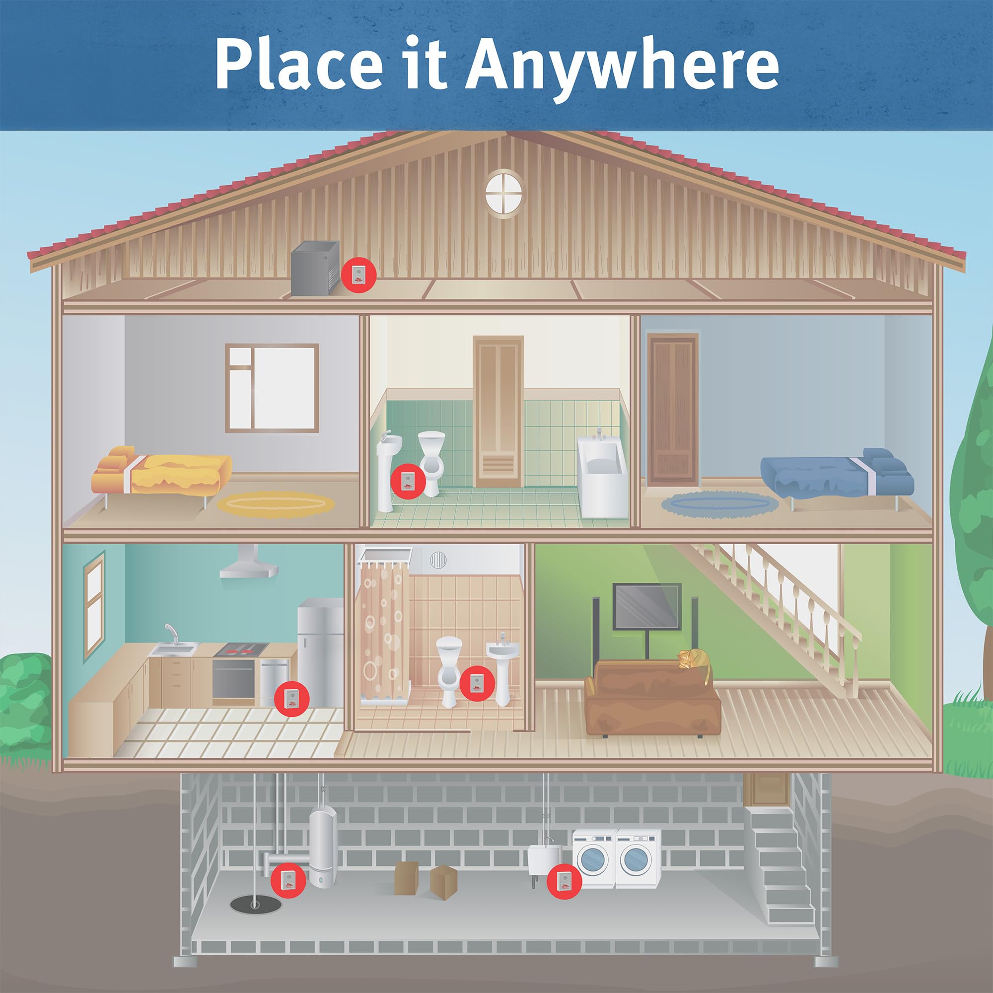 BASEMENT WATCHDOG primer plano de la carcasa y botones para comprobar estado