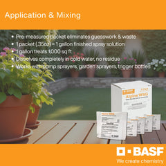BASF Alpine WSG diluted clear solution demonstrating non‑staining benefit