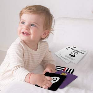 beiens bebé con cuidador usando tarjetas en contexto familiar