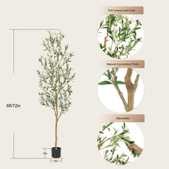 bellacat árbol colocado en sala mostrando cómo mejora la decoración