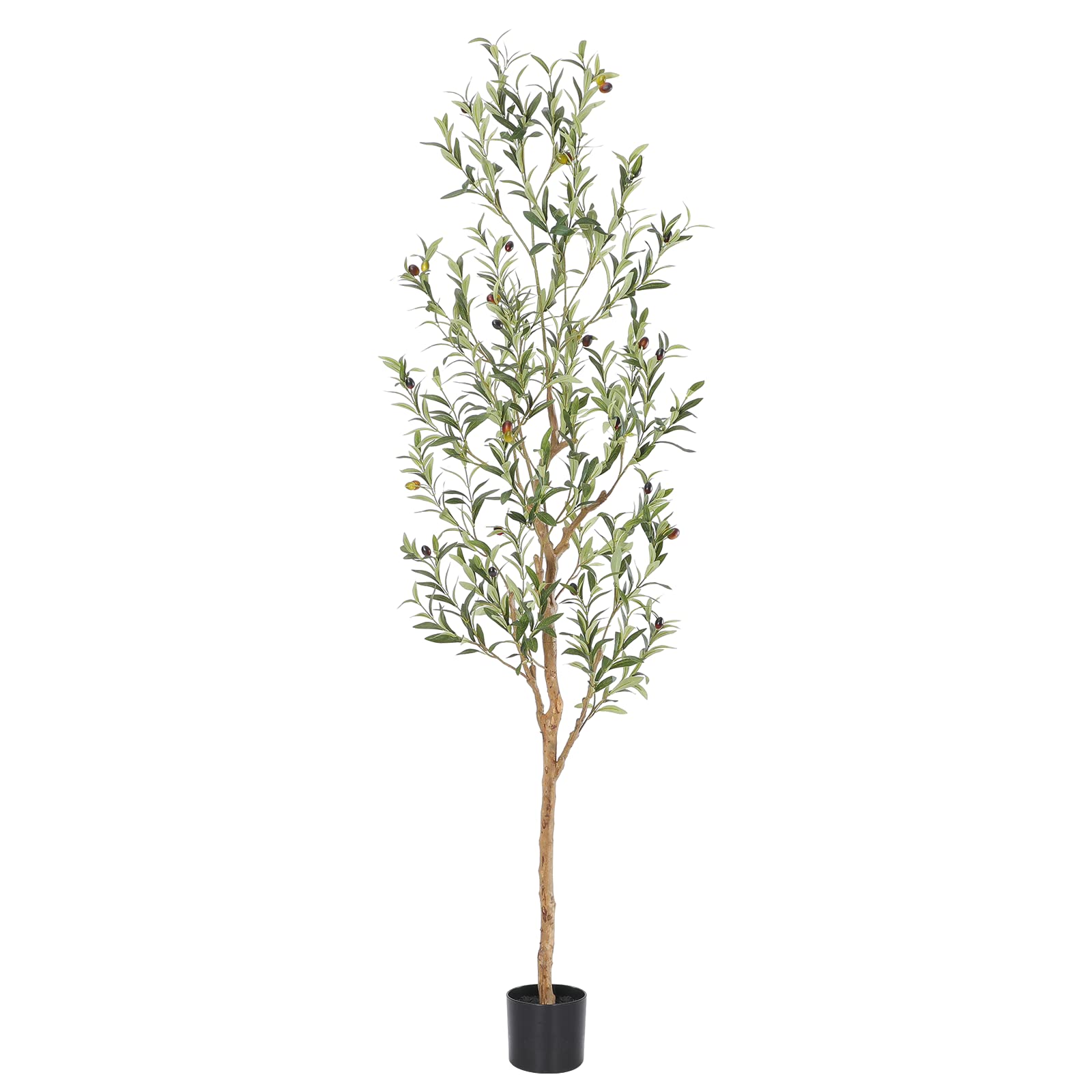 bellacat árbol de olivo frontal mostrando silueta realista y elegancia