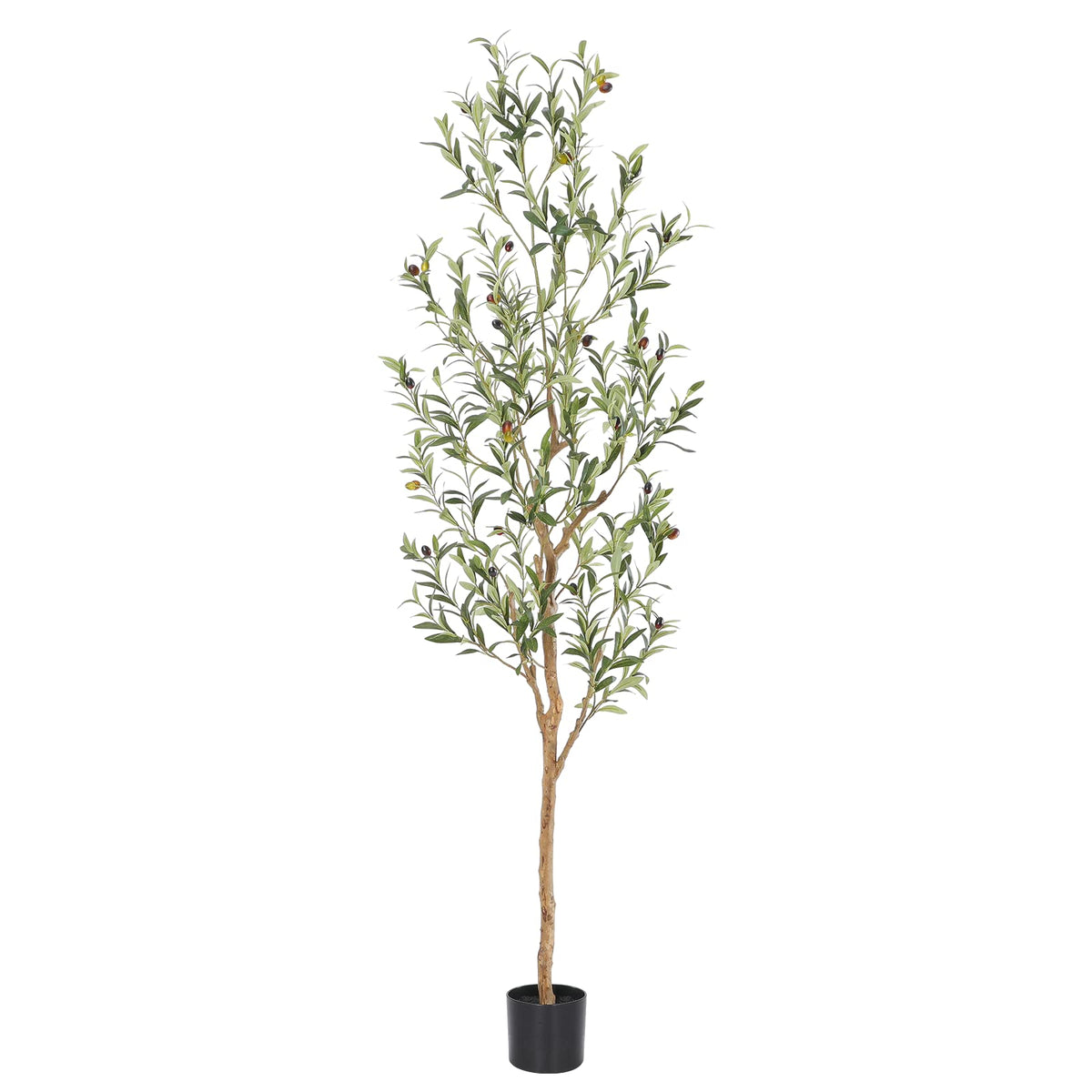 bellacat árbol de olivo frontal mostrando silueta realista y elegancia