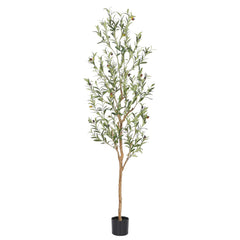 bellacat árbol de olivo frontal mostrando silueta realista y elegancia