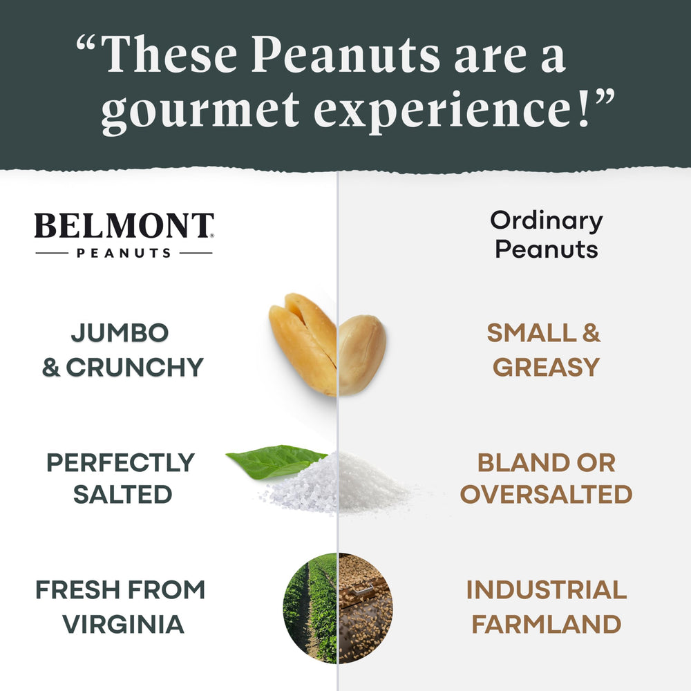 Belmont Peanuts mano sosteniendo cacahuetes para tamaño y porción práctica