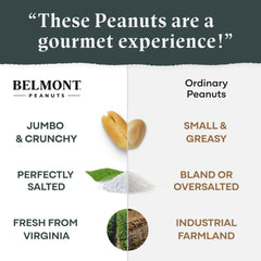 Belmont Peanuts mano sosteniendo cacahuetes para tamaño y porción práctica