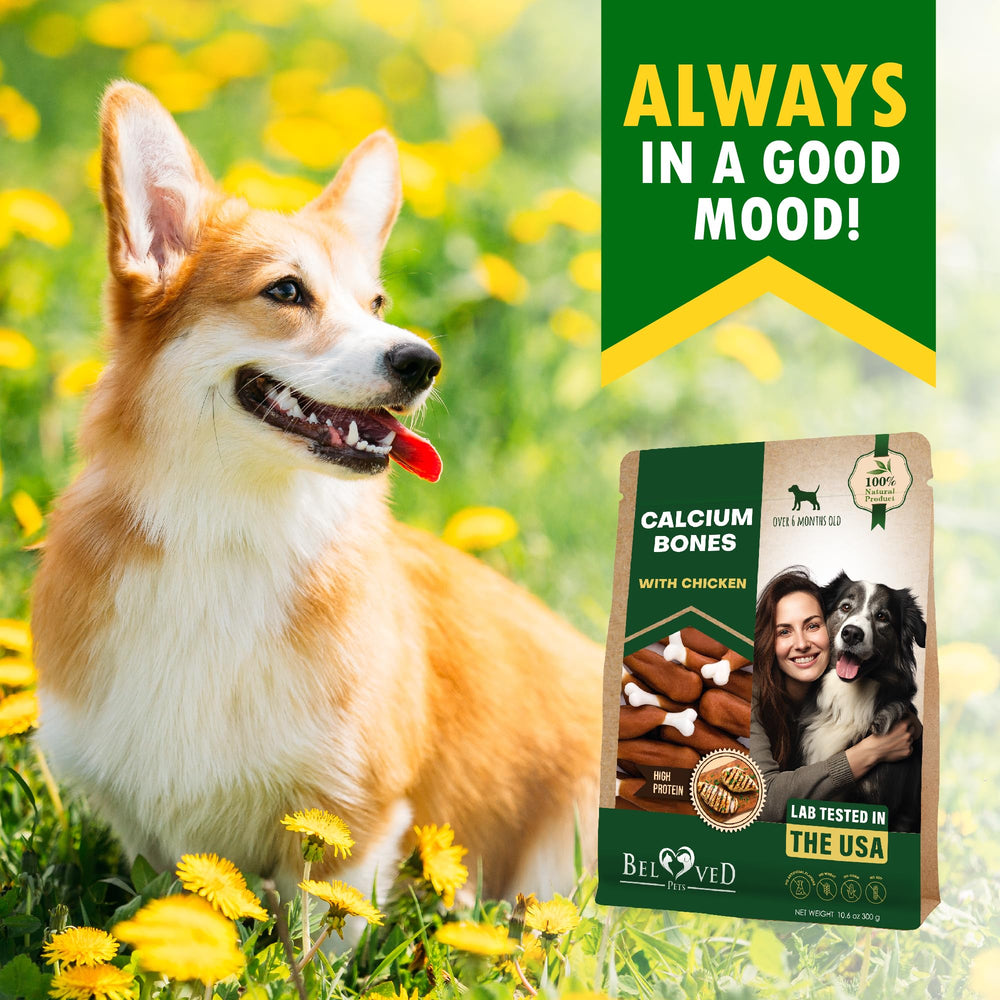 Beloved Pets escena navideña con paquete como regalo ideal para perros en fiestas