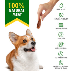 Beloved Pets hueso en mano humana para comparar escala y demostrar tamaño real