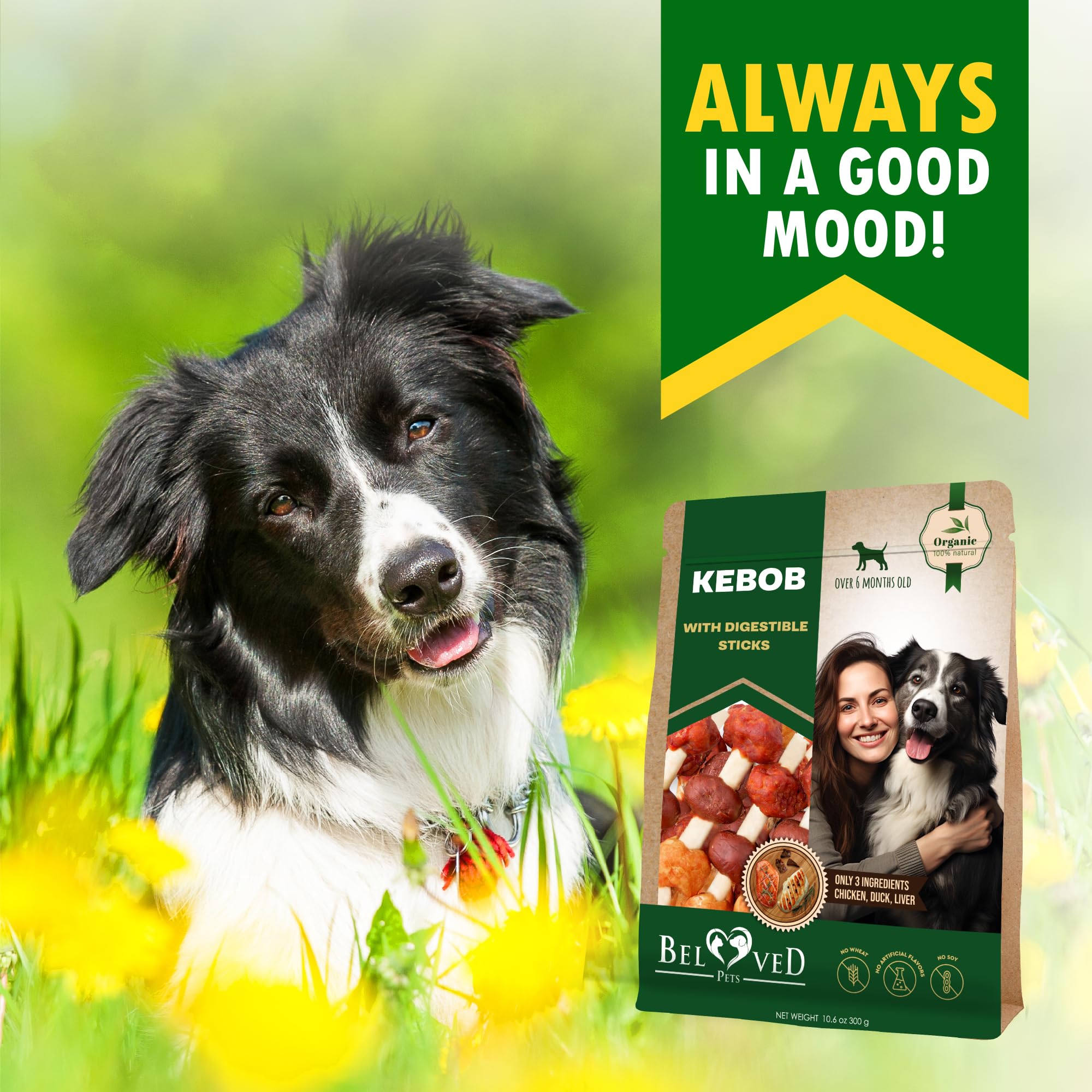Beloved Pets kabobs en ambiente doméstico como premio durante el juego