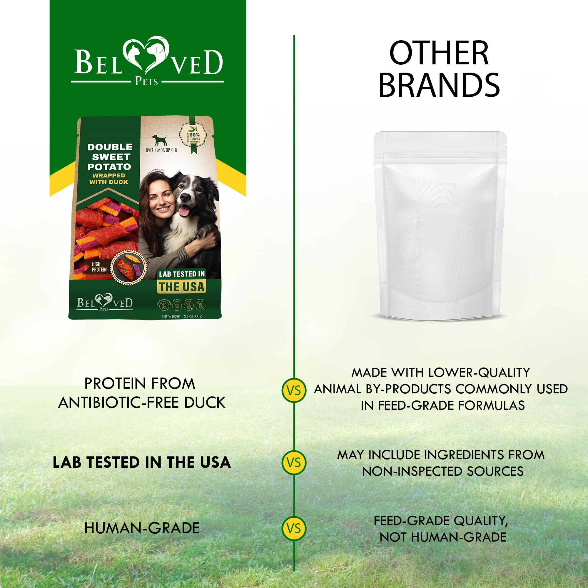 Beloved Pets perro masticando premio feliz, sugiere aceptación y digestión fácil