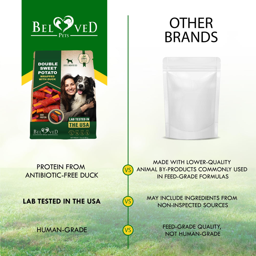 Beloved Pets perro masticando premio feliz, sugiere aceptación y digestión fácil