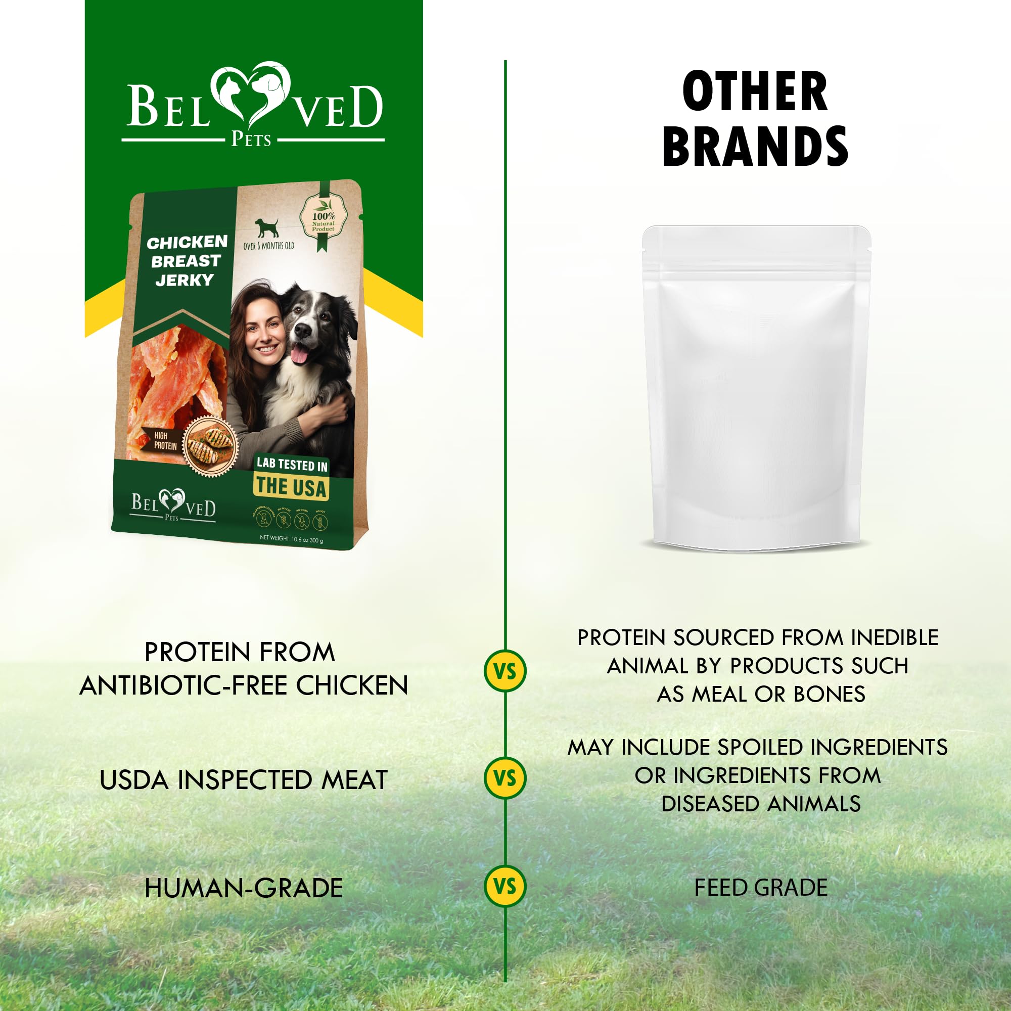 Beloved Pets perro masticando una tira, entretenimiento y limpieza dental