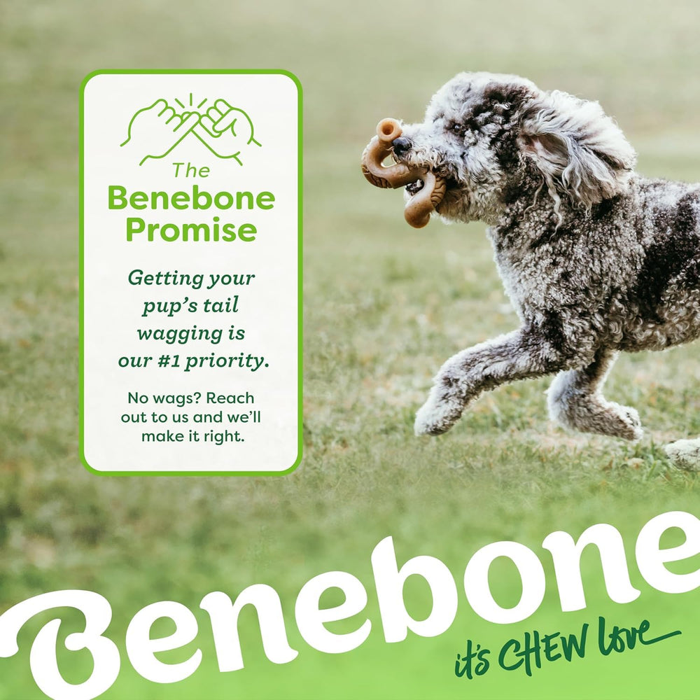 Benebone junto a cepillo dental canino, apoya higiene oral mediante masticación
