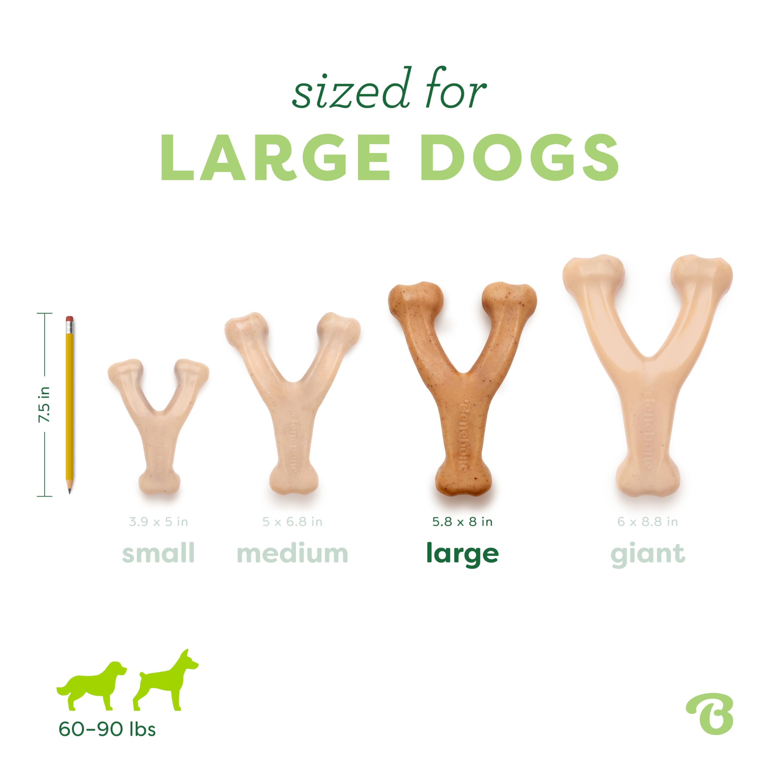 Benebone Wishbone junto a una regla para comparar tamaño grande y escala