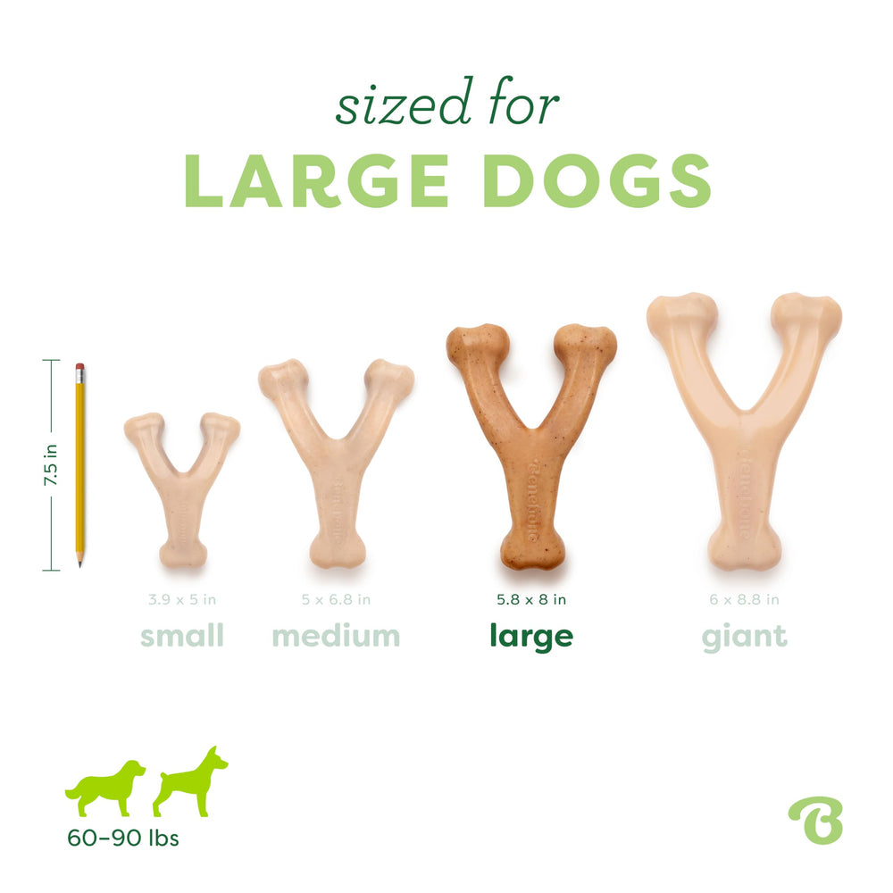 Benebone Wishbone junto a una regla para comparar tamaño grande y escala