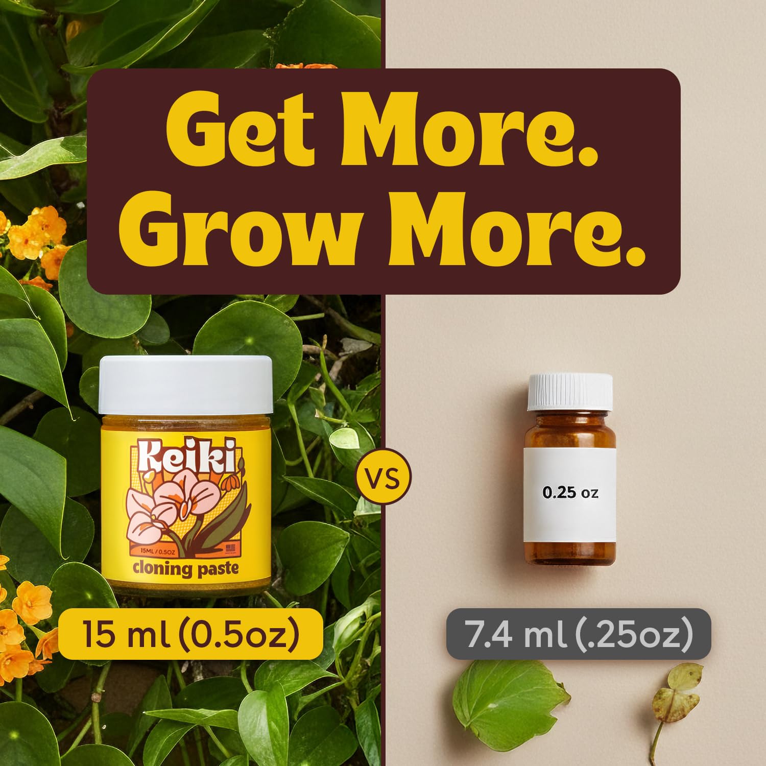 Berkland aplicación de keiki paste en nudo de orquídea para nuevos brotes