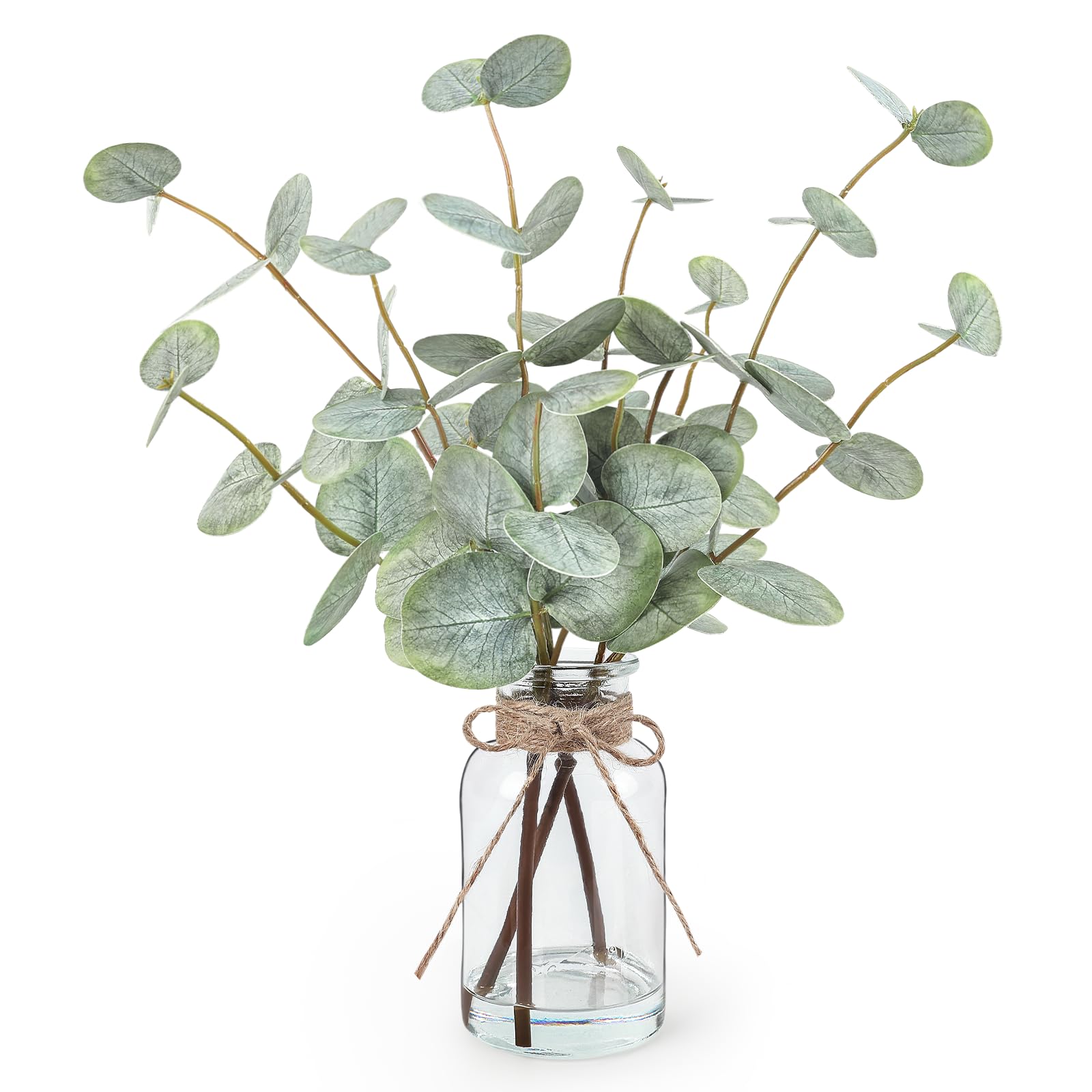 Bessol eucalipto frente con florero de vidrio, aporta frescura instantánea