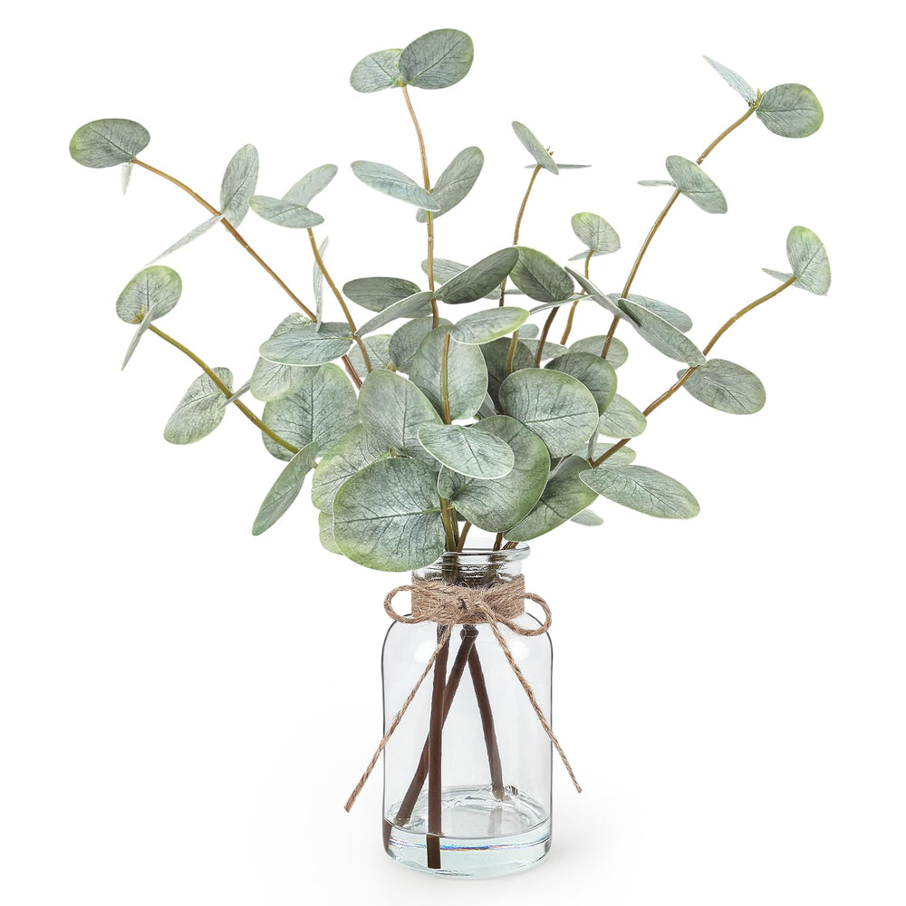 Bessol eucalipto frente con florero de vidrio, aporta frescura instantánea