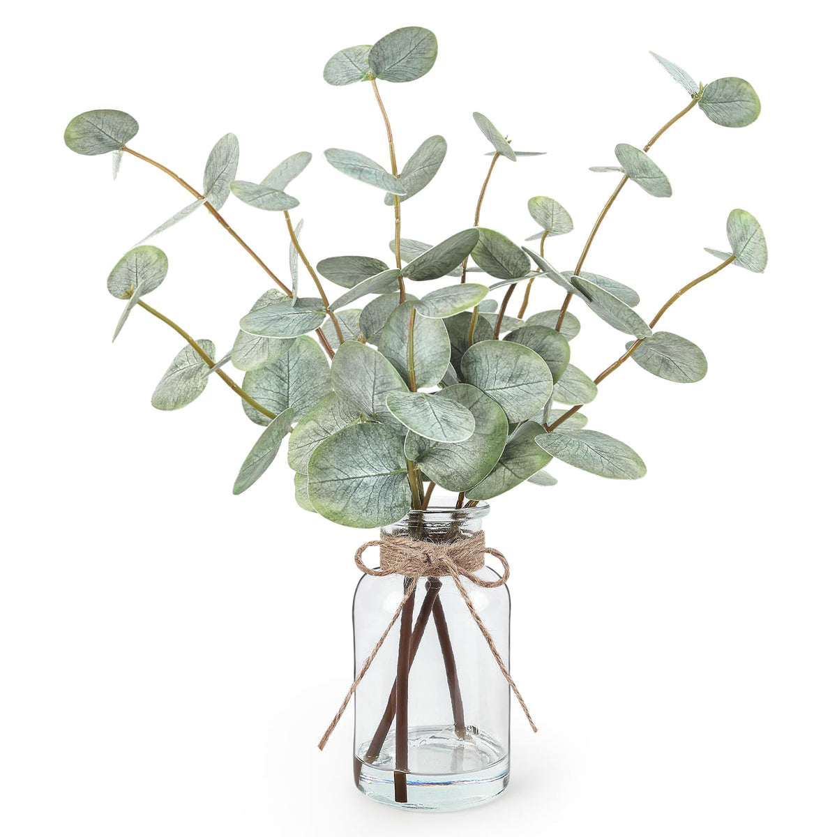 Bessol eucalipto frente con florero de vidrio, aporta frescura instantánea