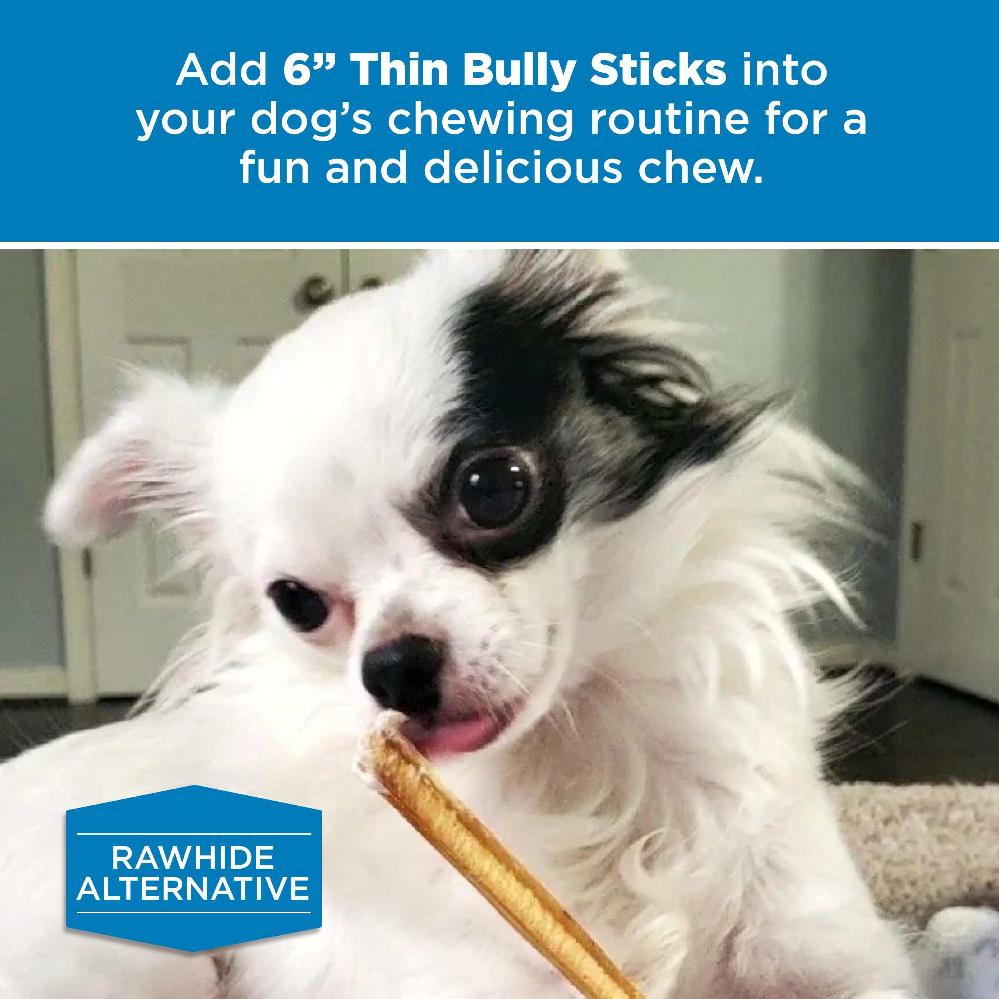 Best Bully Sticks escena cotidiana con palos como recompensa durante paseo o entrenamiento