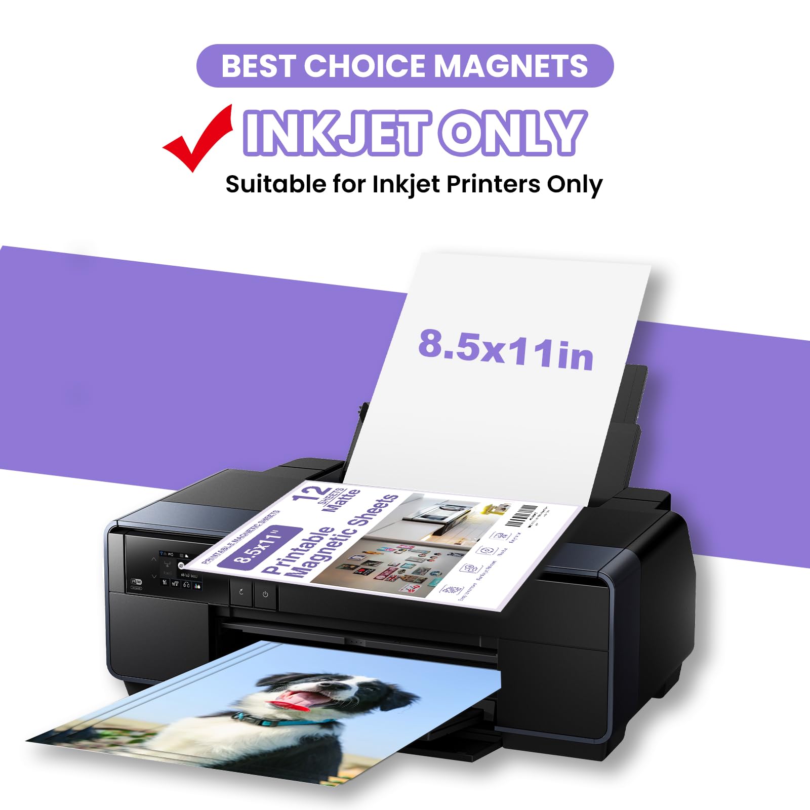 BEST CHOICE MAGNETS hoja dentro de impresora demostrando compatibilidad