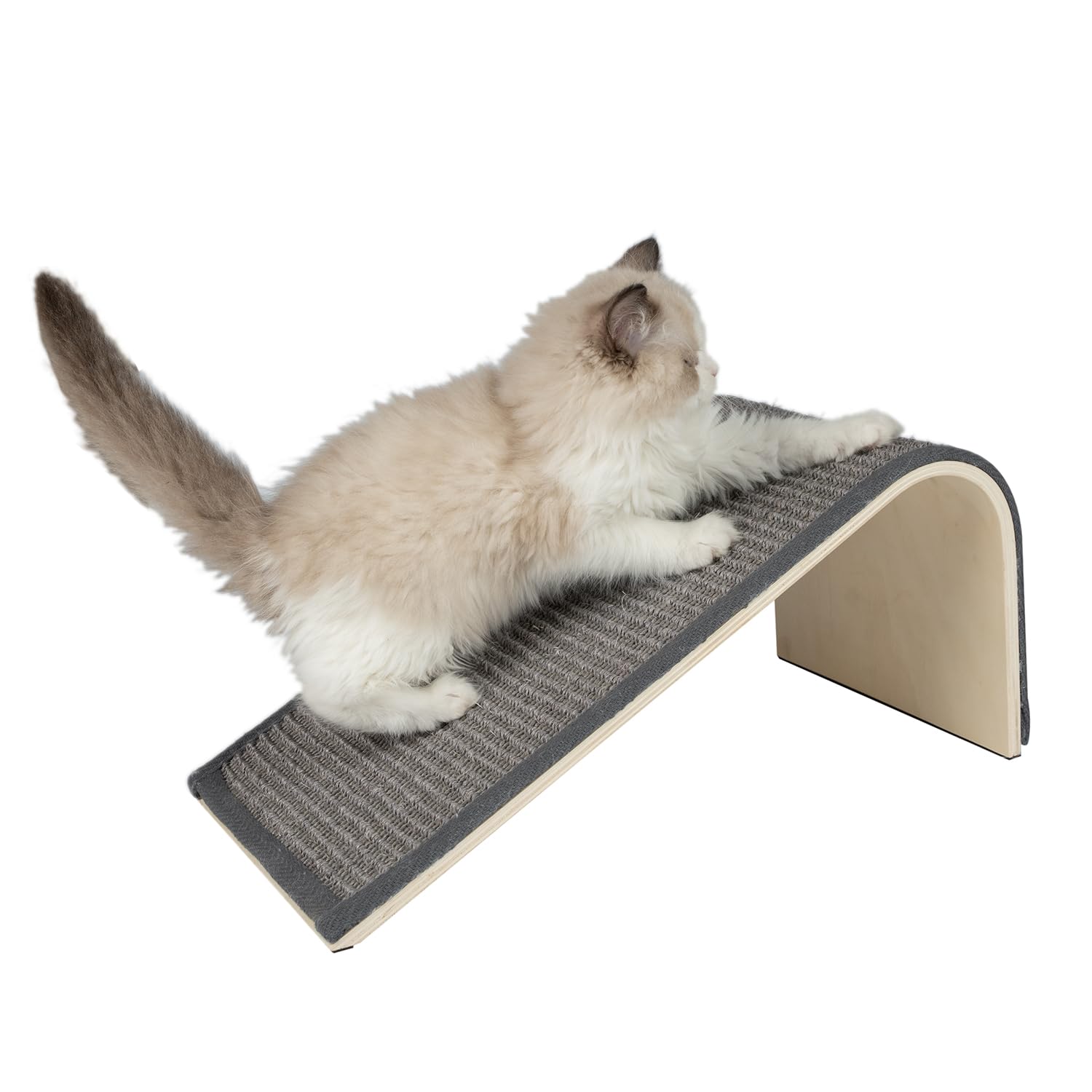 Best Pet Supplies rampa frontal gris mostrando forma y estabilidad
