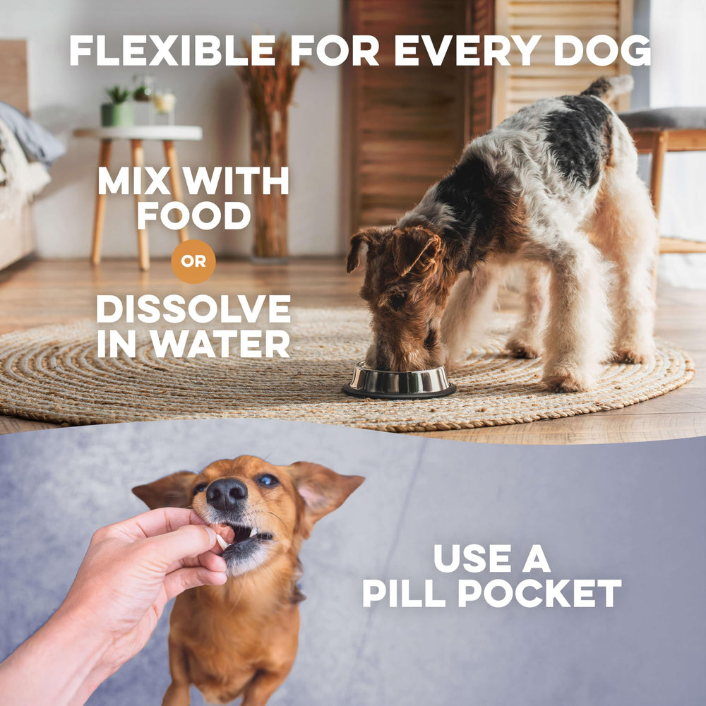 BestLife4Pets mejora de textura de piel y pelaje tras uso continuado